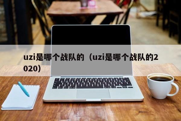 uzi是哪个战队的（uzi是哪个战队的2020）