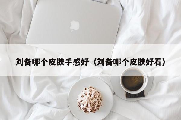 刘备哪个皮肤手感好（刘备哪个皮肤好看）