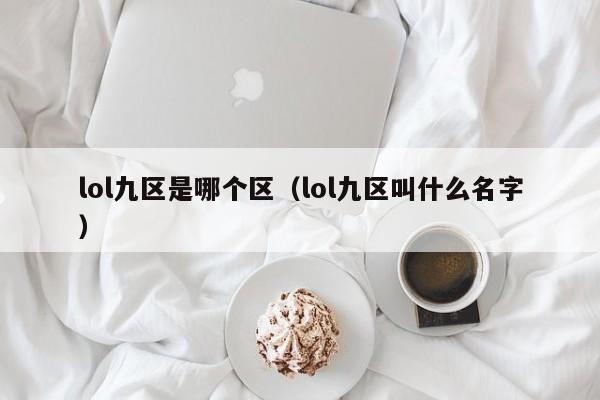 lol九区是哪个区（lol九区叫什么名字）