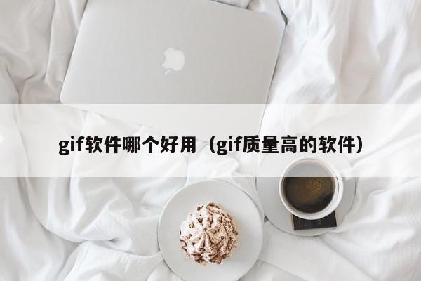 gif软件哪个好用（gif质量高的软件）