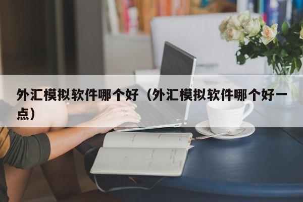 外汇模拟软件哪个好（外汇模拟软件哪个好一点）