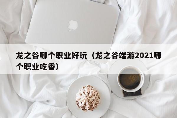 龙之谷哪个职业好玩（龙之谷端游2021哪个职业吃香）