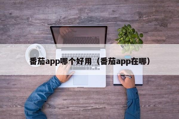 番茄app哪个好用（番茄app在哪）