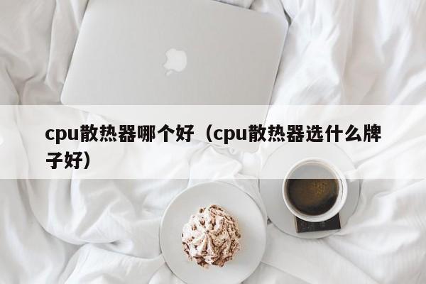 cpu散热器哪个好（cpu散热器选什么牌子好）