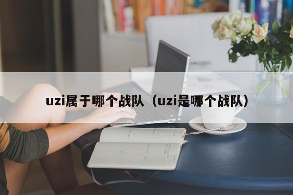 uzi属于哪个战队（uzi是哪个战队）